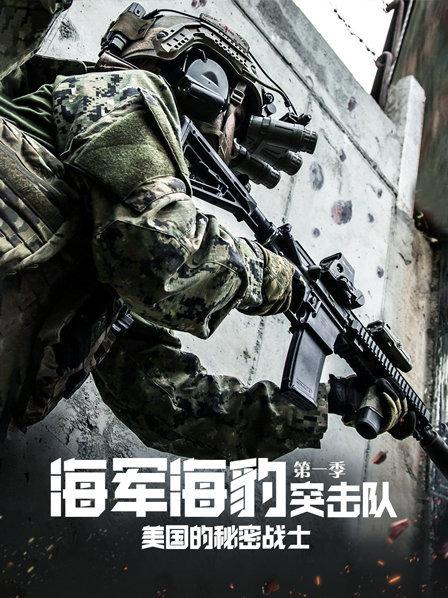 海军海豹突击队:美国的秘密战士 第一季