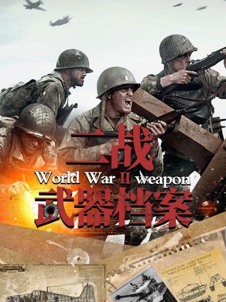 二战武器档案