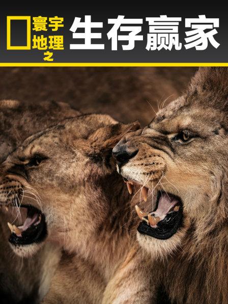 寰宇地理之生存赢家