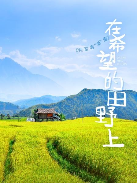 共富看“浙”里——在希望的田野上