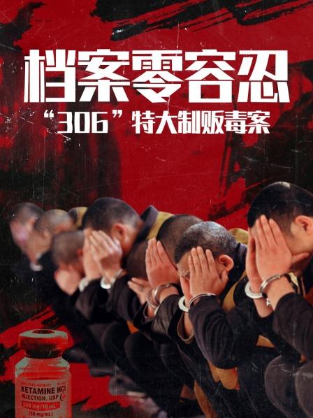 档案零容忍：“306”特大制贩毒案