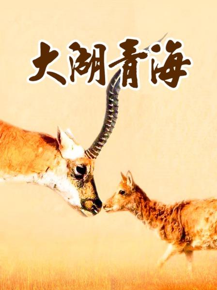 大湖 青海