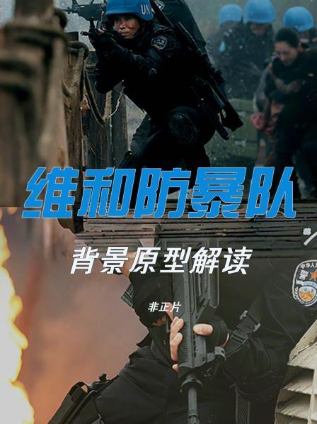 《维和防暴队》背景原型解读  非正片