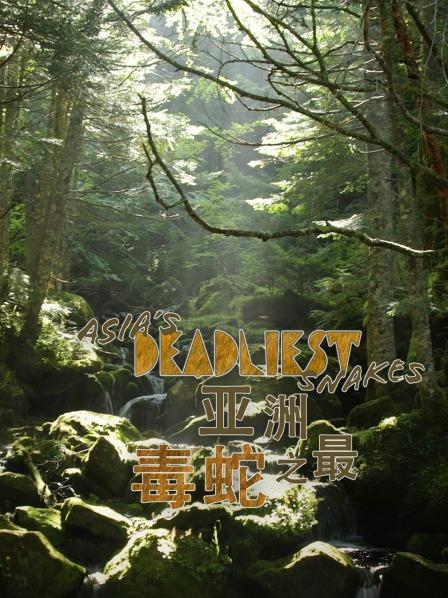 亚洲毒蛇之最
