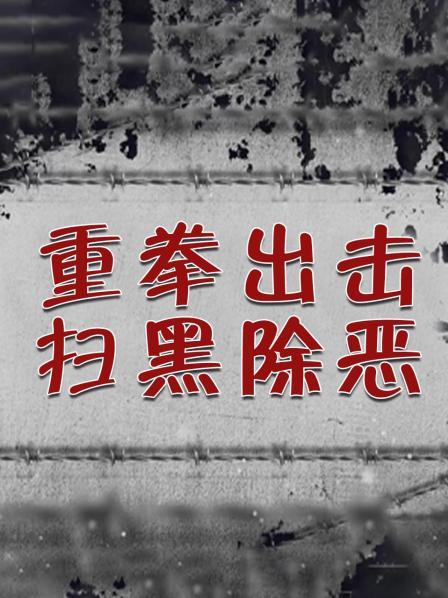 重拳出击 扫黑除恶