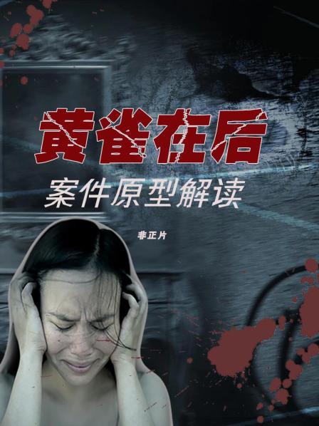 黄雀在后 案件原型解读 非正片