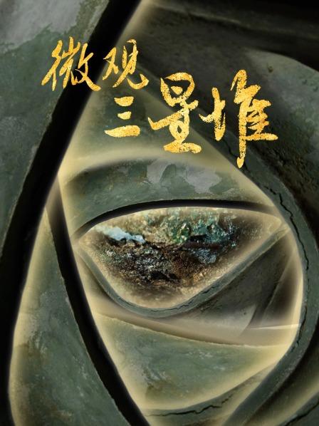 微观三星堆