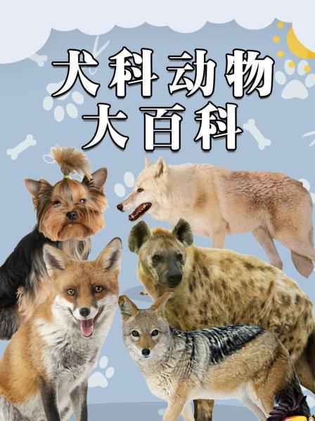 犬科动物大百科