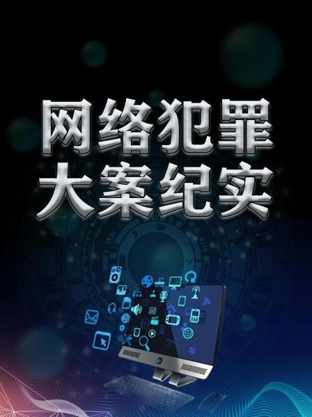 网络犯罪大案纪实