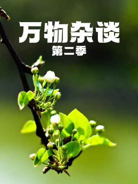 万物杂谈 第二季
