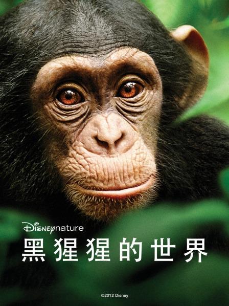 黑猩猩的世界