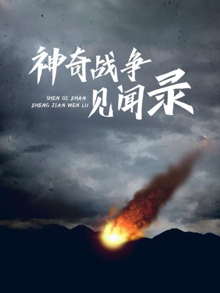 神奇战争见闻录