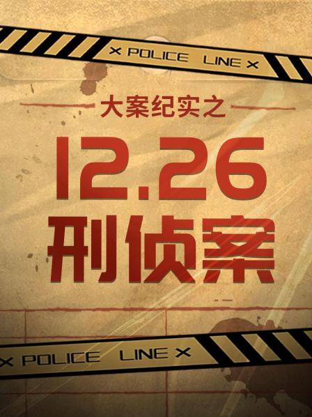 大案纪实之12.26刑侦案