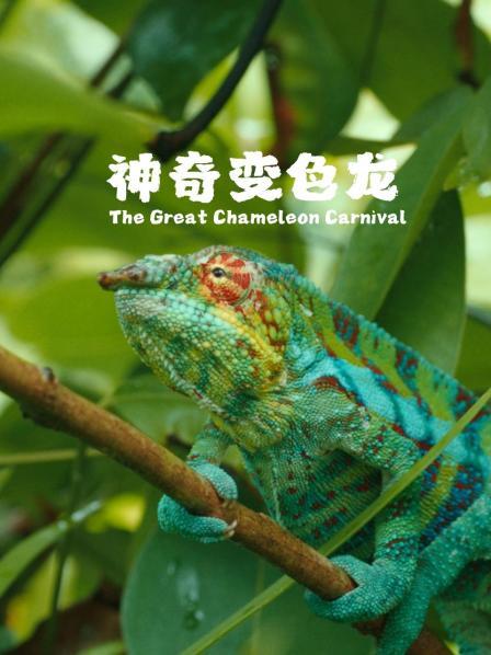 神奇变色龙