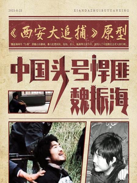 《西安大追捕》原型：中国头号悍匪魏振海
