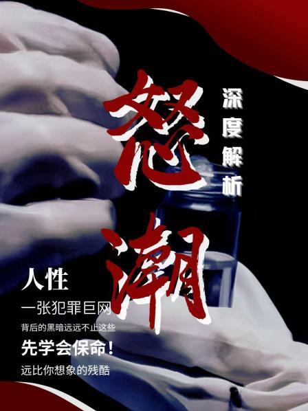 怒潮  深度解析