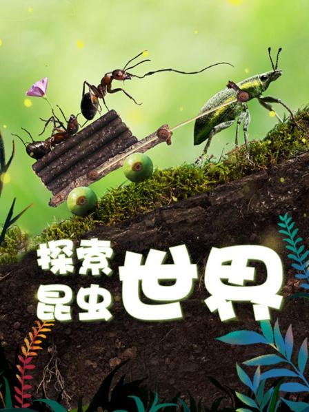 探索昆虫世界
