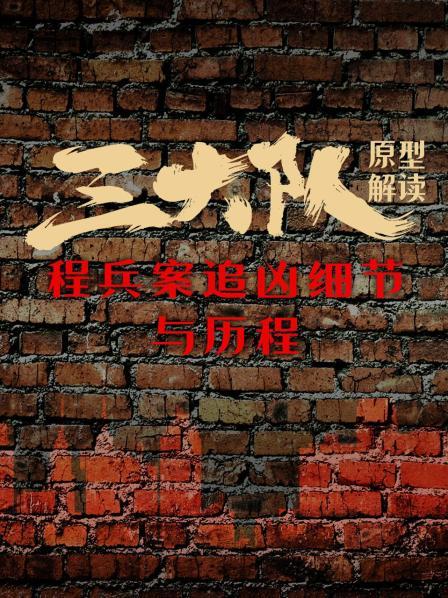 《三大队》原型解读：程兵案追凶细节与历程
