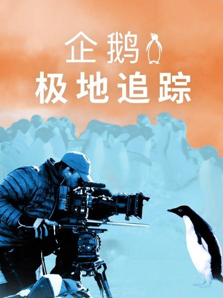 企鹅：极地追踪