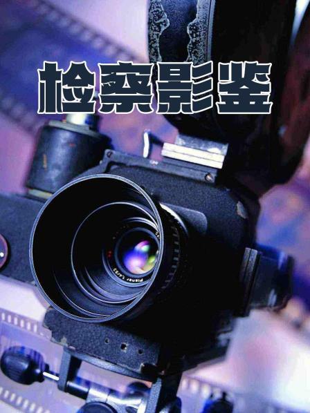 检察影鉴