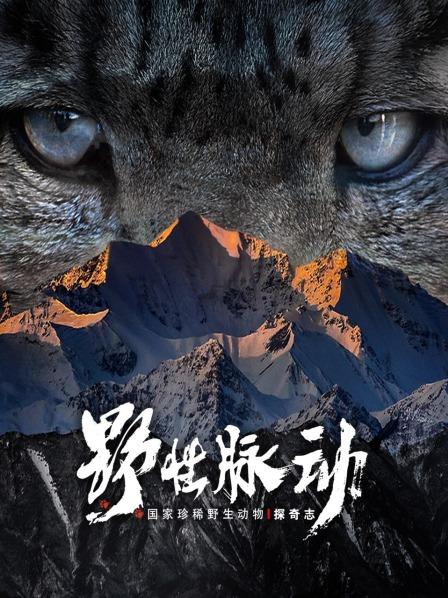 野性脉动 国家珍稀野生动物探奇志