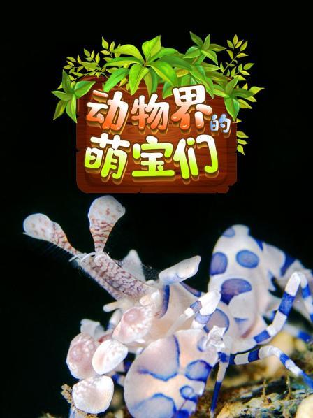 动物界的萌宝们