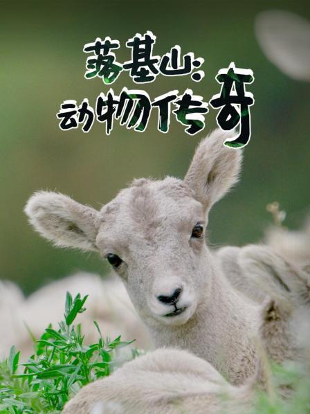 落基山：动物传奇