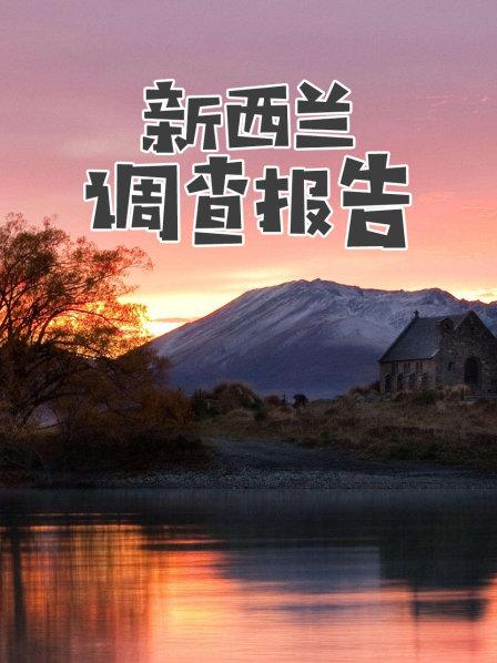 新西兰调查报告