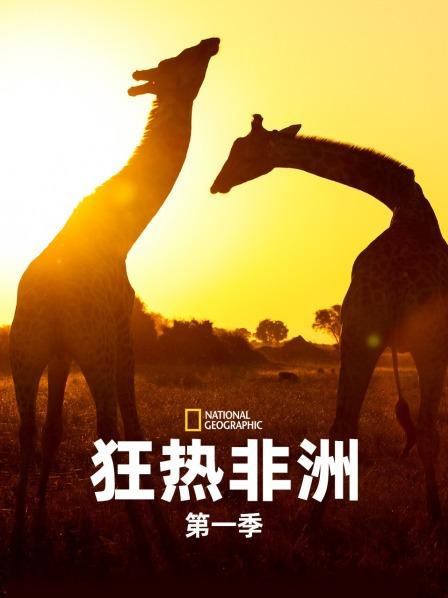 狂热非洲 第一季