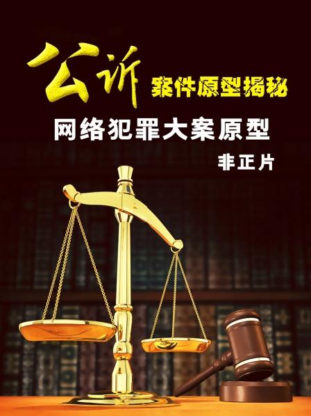《公诉》案件原型揭秘 网络犯罪大案原型 非正片