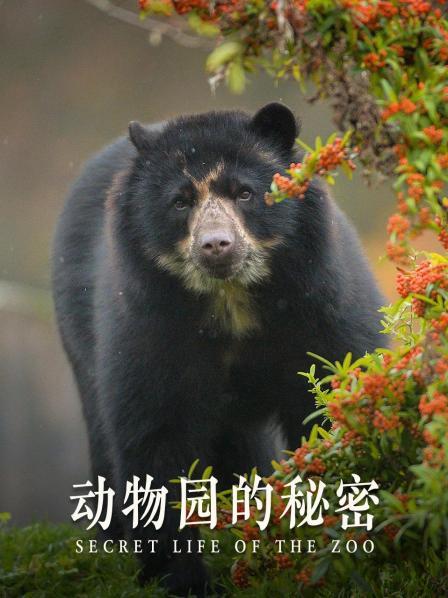 动物园的秘密
