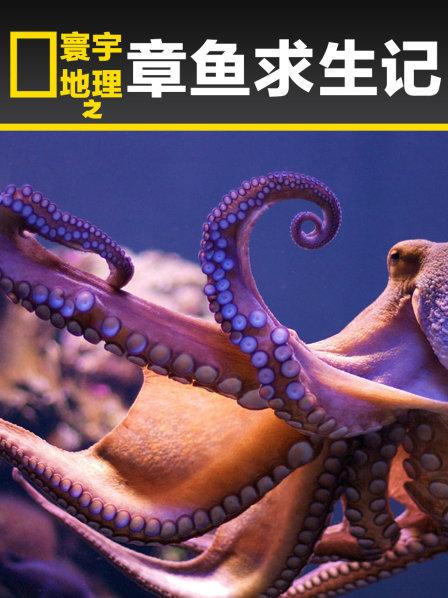 寰宇地理之章鱼求生记