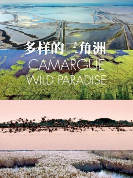 多样的三角洲