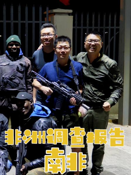 非洲调查报告：南非