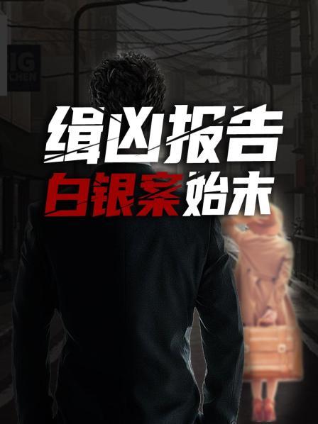 缉凶报告：白银案始末