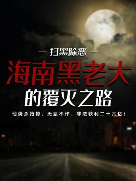扫黑除恶：海南黑老大的覆灭之路