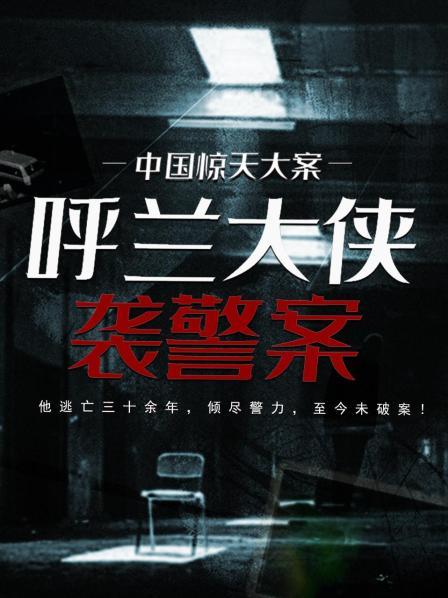 中国惊天大案：呼兰大侠袭警案