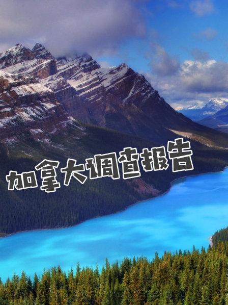 加拿大调查报告