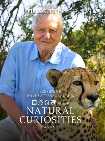 大卫爱登堡的自然奇迹 第三季