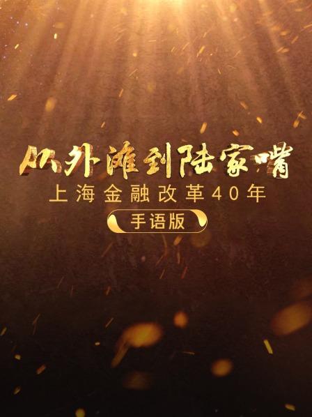 从外滩到陆家嘴-上海金融改革四十年 手语版