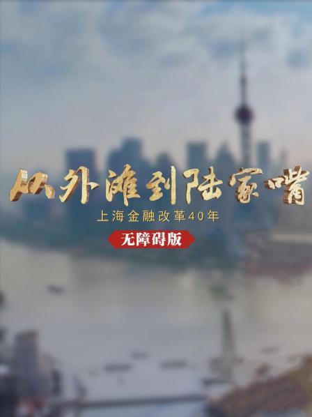 从外滩到陆家嘴上海金融改革四十年 无障碍版