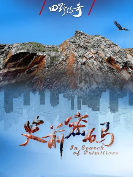 田野传奇-史前密码