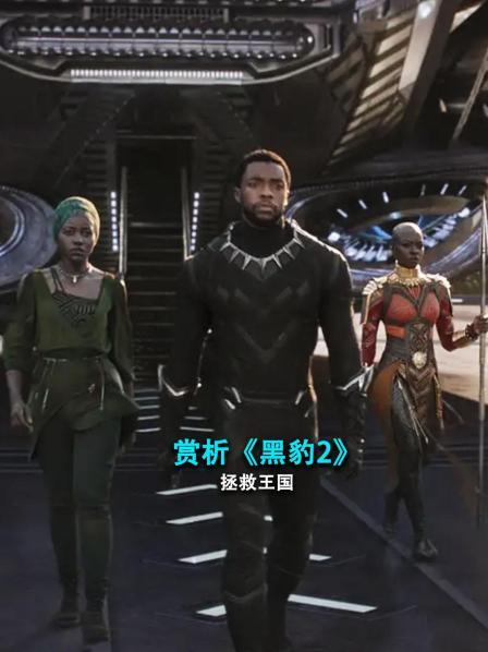 赏析《黑豹2》 拯救王国