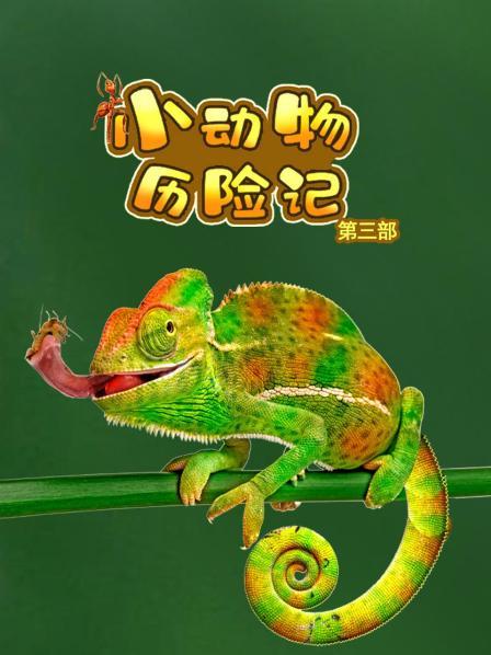 小动物历险记 第三部