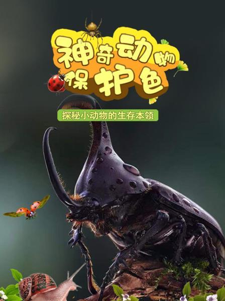 神奇动物保护色