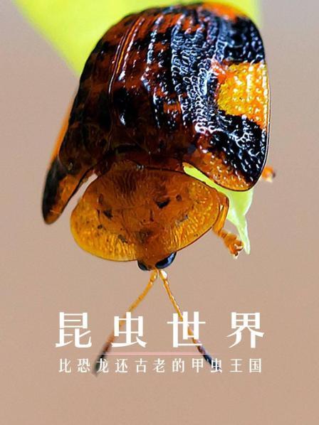 昆虫世界：比恐龙还古老的甲虫王国