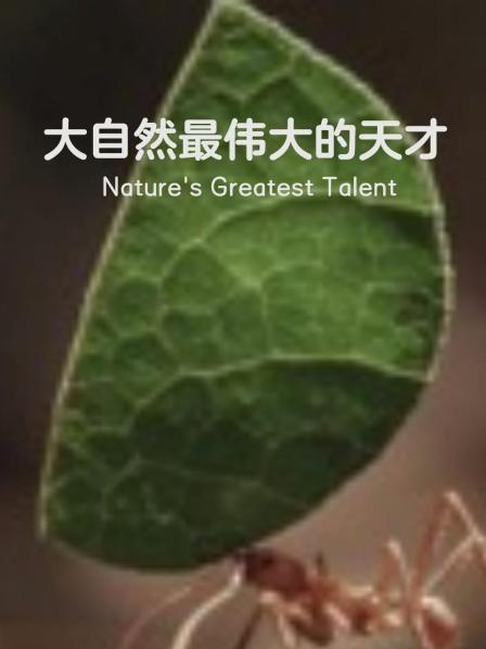 大自然最伟大的天才