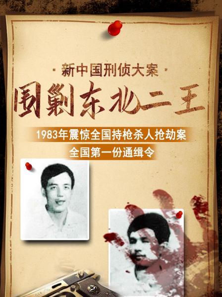 新中国刑侦大案：围剿东北二王