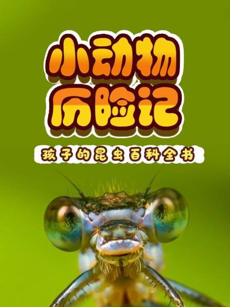 小动物历险记