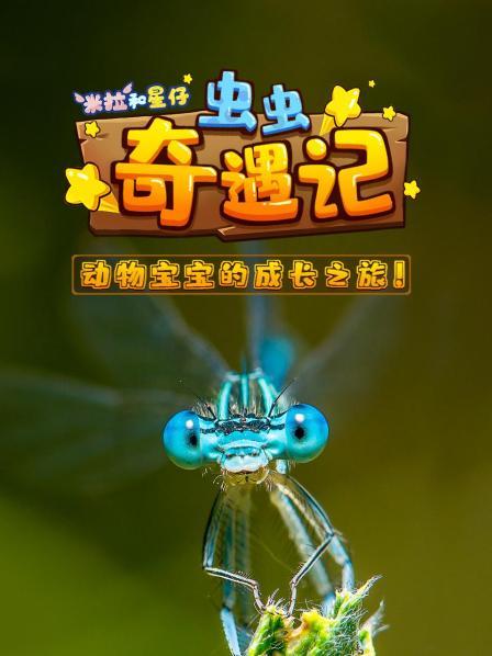 虫虫奇遇记